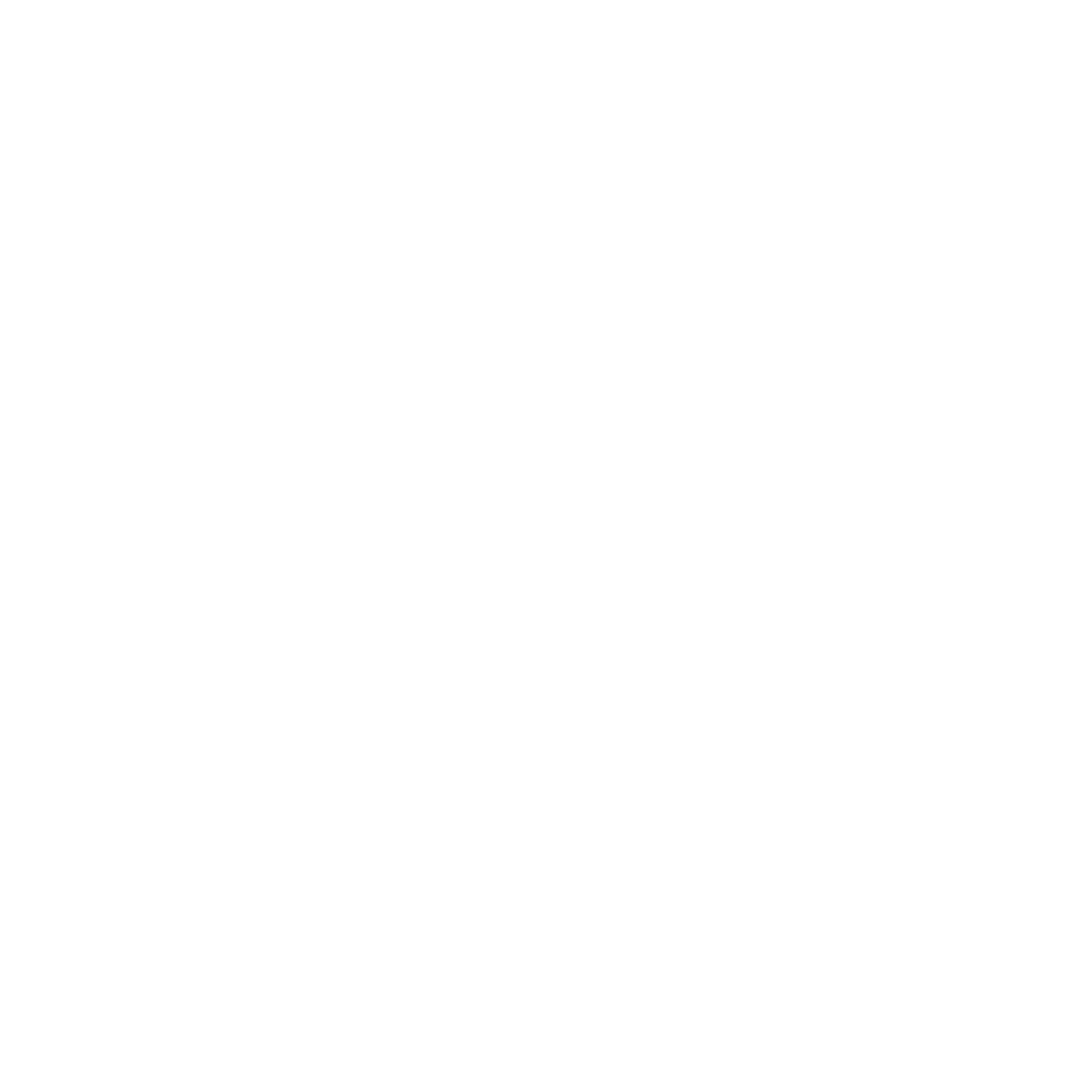 Insi